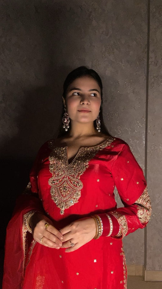 Traditional Red Elegance: A Beautiful Portrait in Ethnic Wear TT047