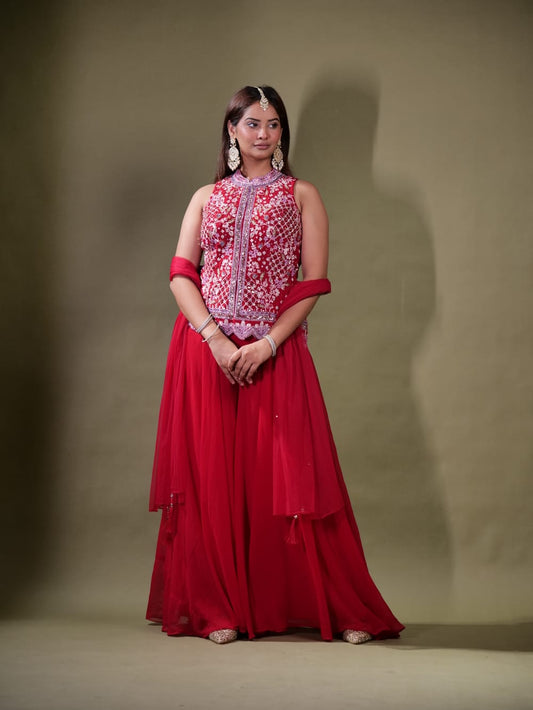 Beautiful Party Wear Suit TT058