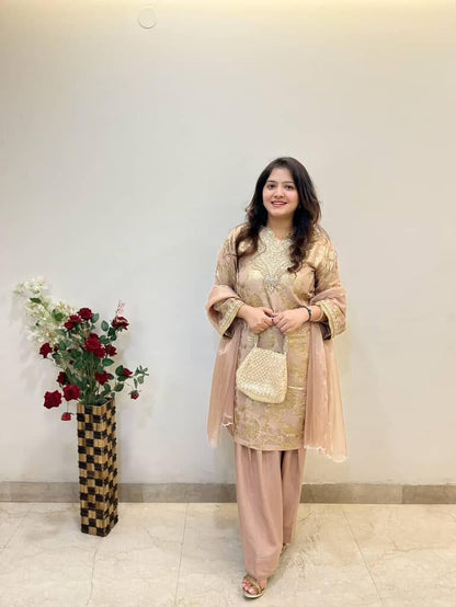 Farshi salwar suit set TT008