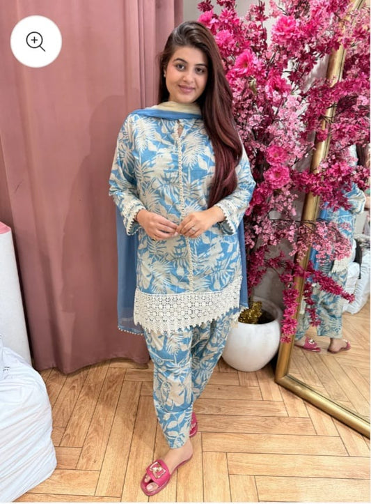 Farshi Salwar Suit TT019