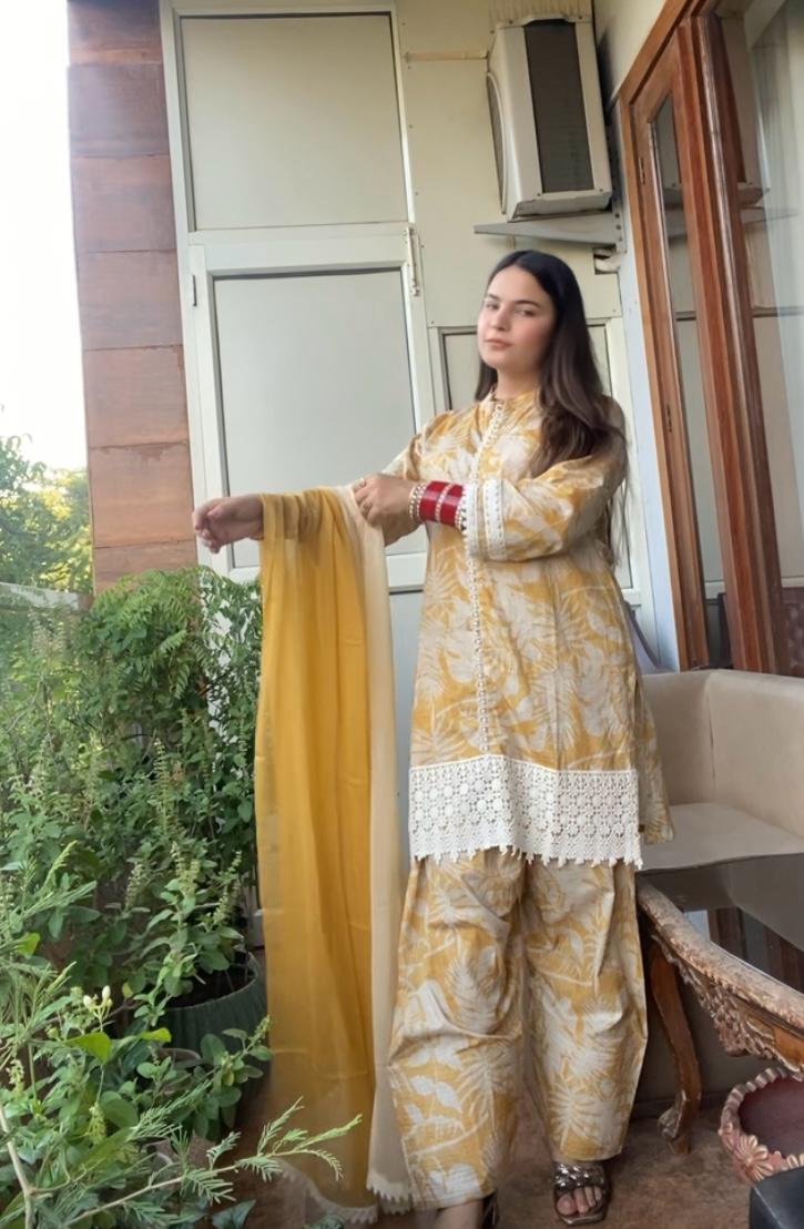 Farshi Salwar Suit TT019