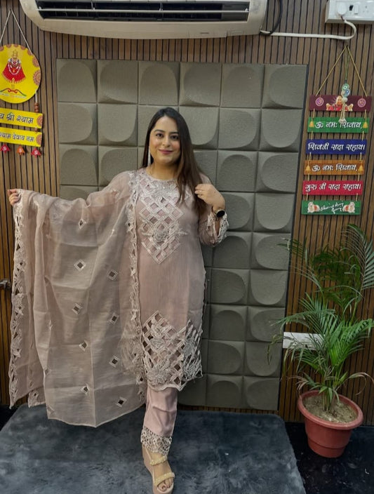 Pastel Shine Mirror Work Suit TT037