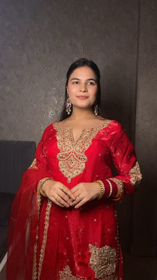 Traditional Red Elegance: A Beautiful Portrait in Ethnic Wear TT047
