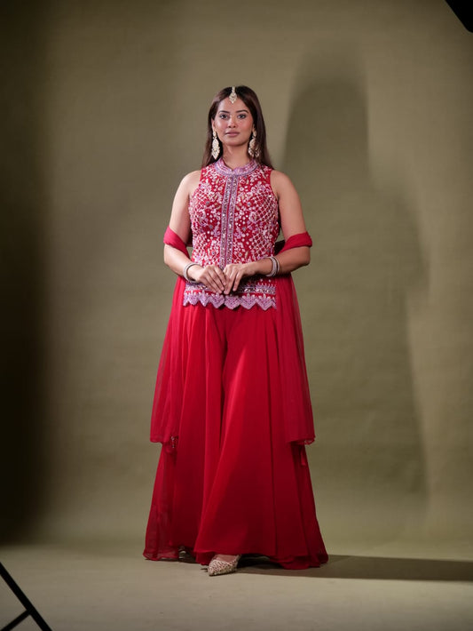 Beautiful Party Wear Suit TT058