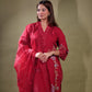 Stunning Pakistani Suit Set TT061