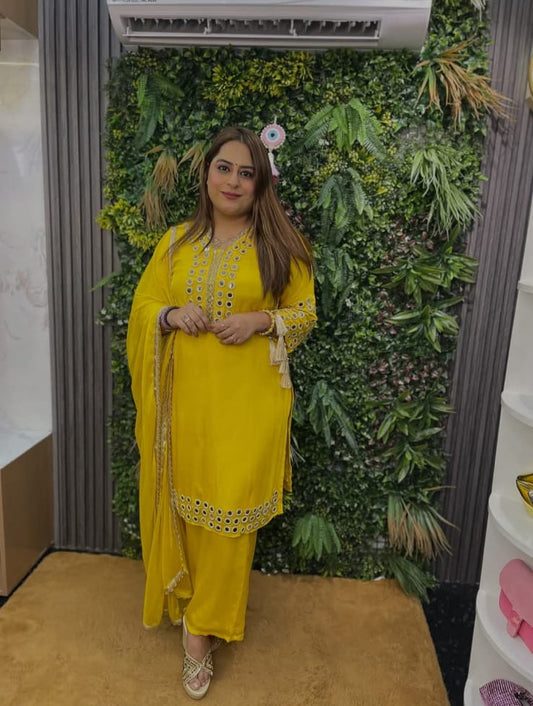 Elegant Suit With Lace Work TT064