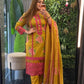 Elegant Pakistani Suit Set TT134