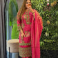 Elegant Pakistani Suit Set TT134