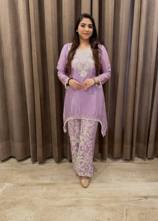 Stunning Embroidery Work Suit TT152