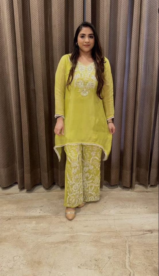 Stunning Embroidery Work Suit TT152