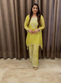 Stunning Embroidery Work Suit TT152