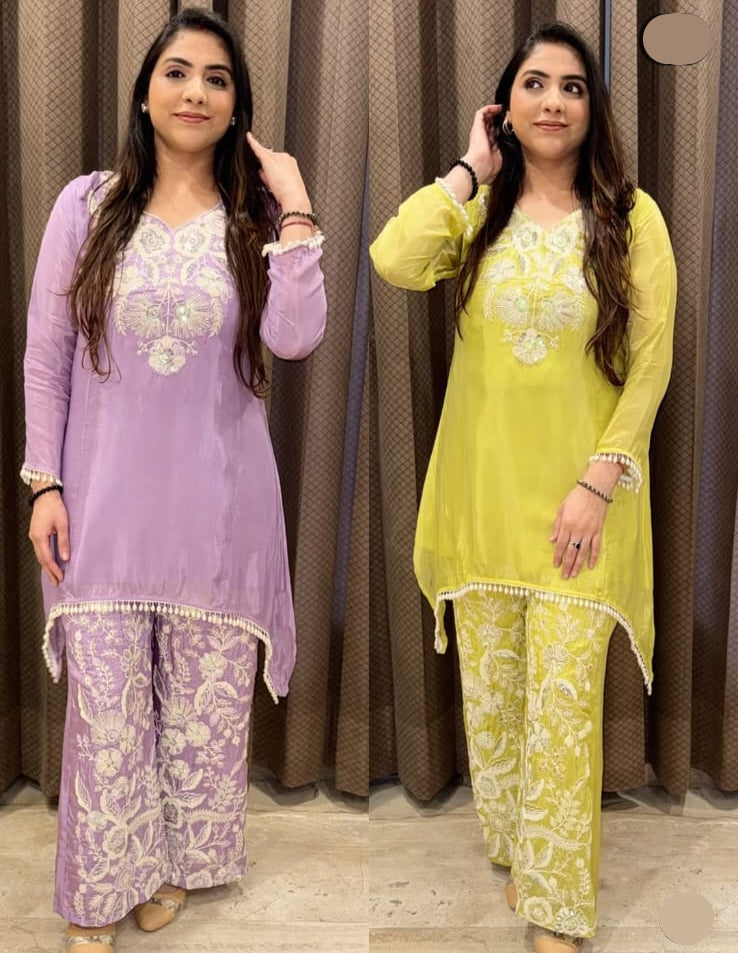 Stunning Embroidery Work Suit TT152